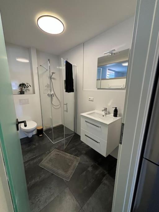Apartment In Der Suedpfalz *